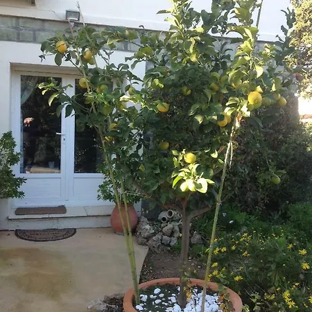 דירה Rez De Pebrier *