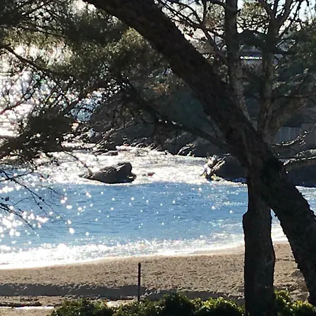 Apartment Rez De Pebrier