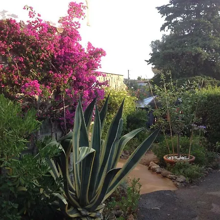 公寓 Rez De Pebrier Fréjus