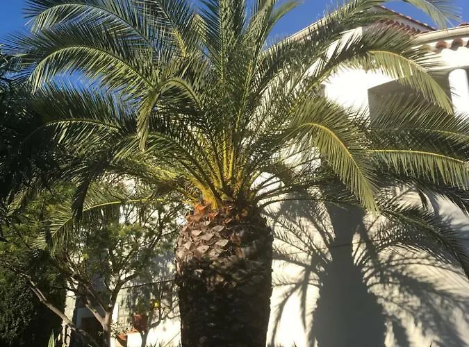 Rez De Pebrier Apartament *