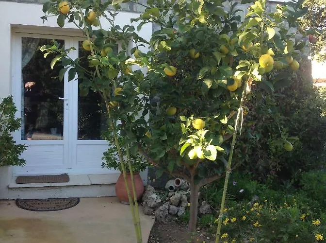 Apartament Rez De Pebrier *