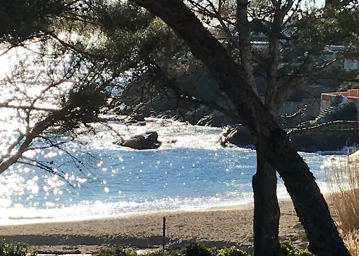 Apartamento Rez De Pébrier